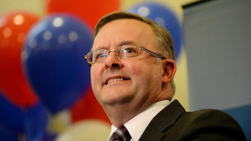 Anthony Albanese launches Labor leadership campaign