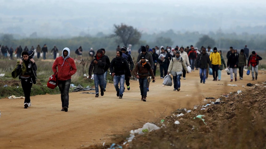 Asylum seekers walk along road in Serbia