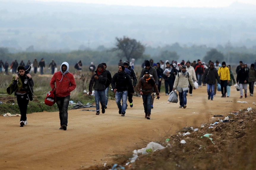 Asylum seekers walk along road in Serbia