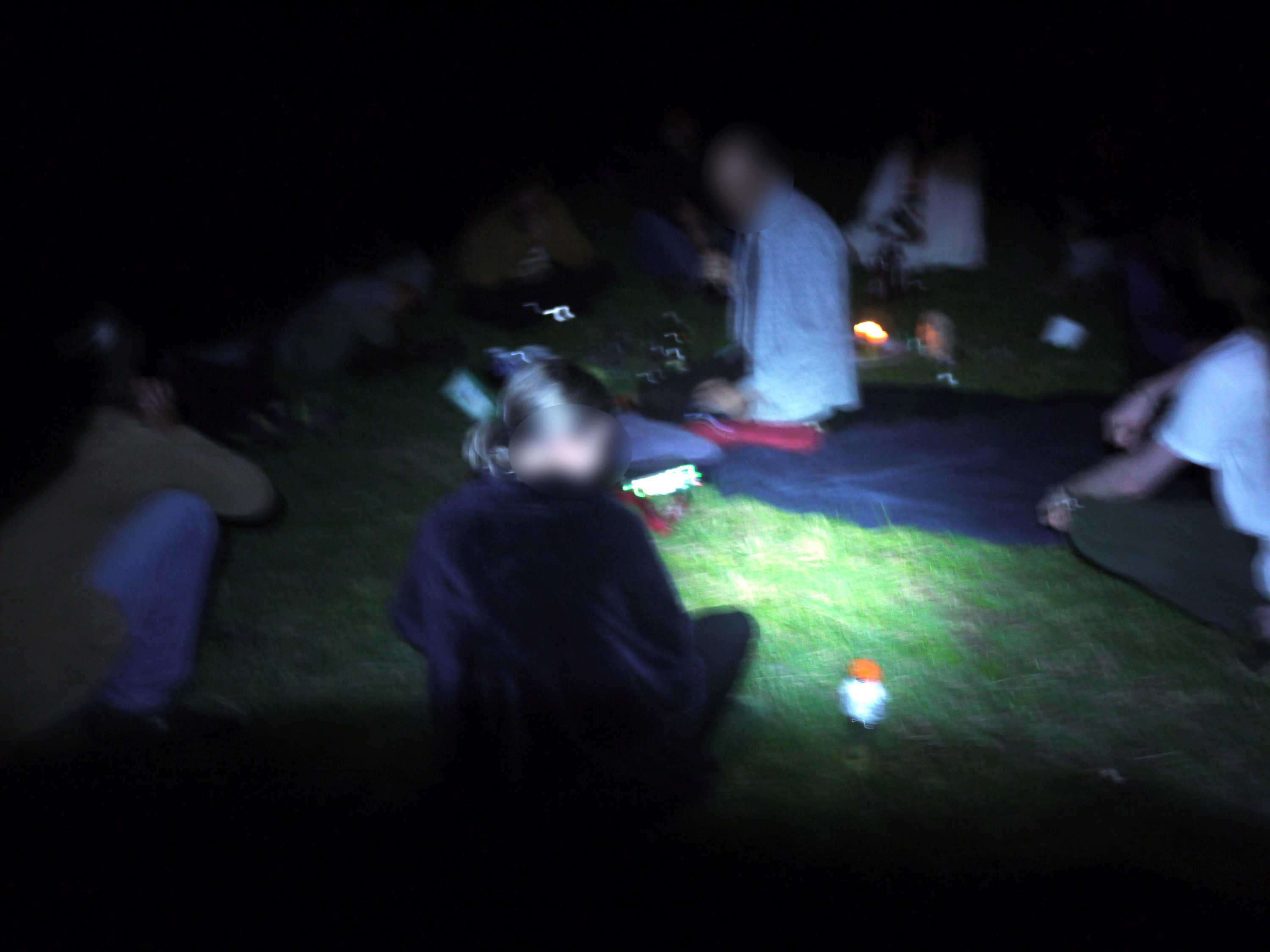 A blurry photo of people sitting on grass in near pitch-black darkness.