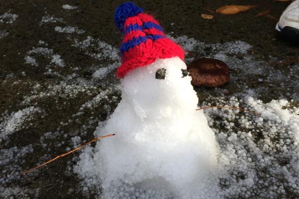 There was enough hail in Bentleigh East for residents to build a snowman.