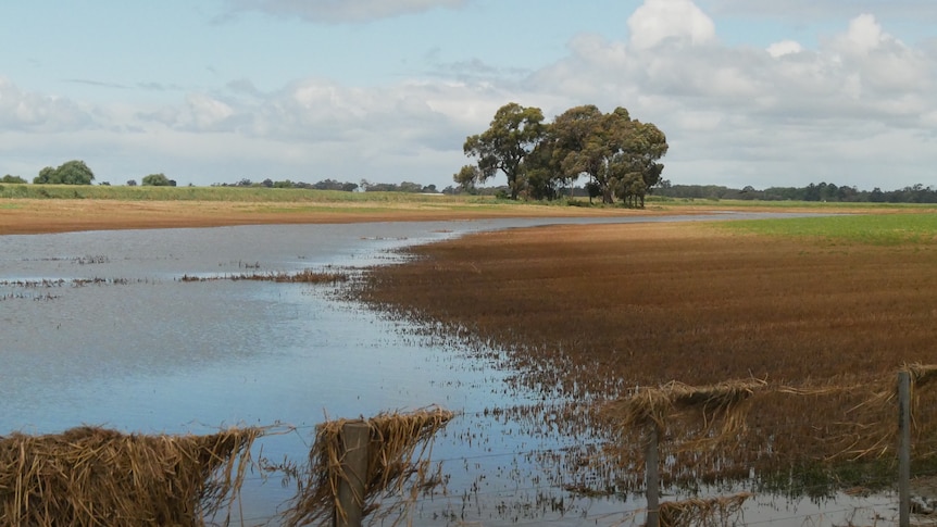 A flooded paddock littered with debris.