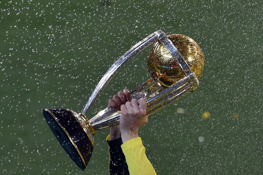 An isolated shot of the ICC Cricket World Cup trophy.