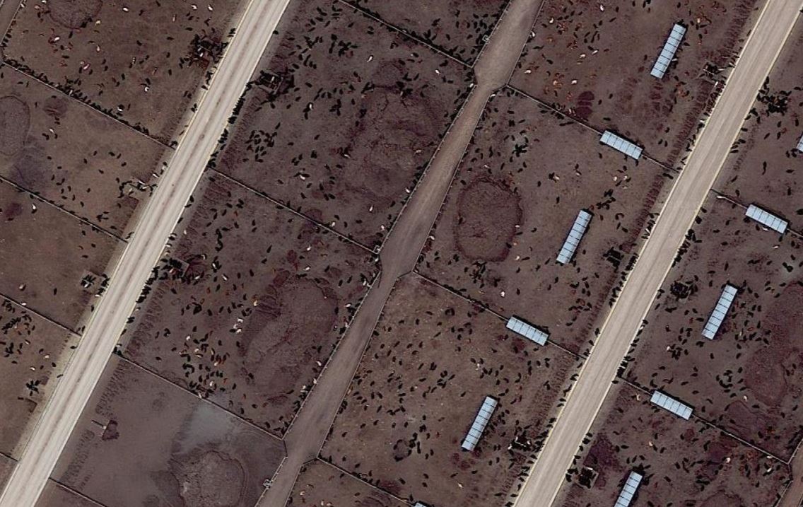 IPCC report encourages a move to plantbased diets, so how sustainable