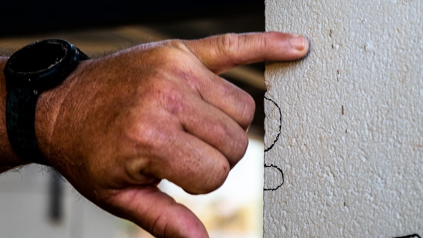 A hand points at tiny ants on a white pillar.