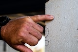 A hand points at tiny ants on a white pillar.