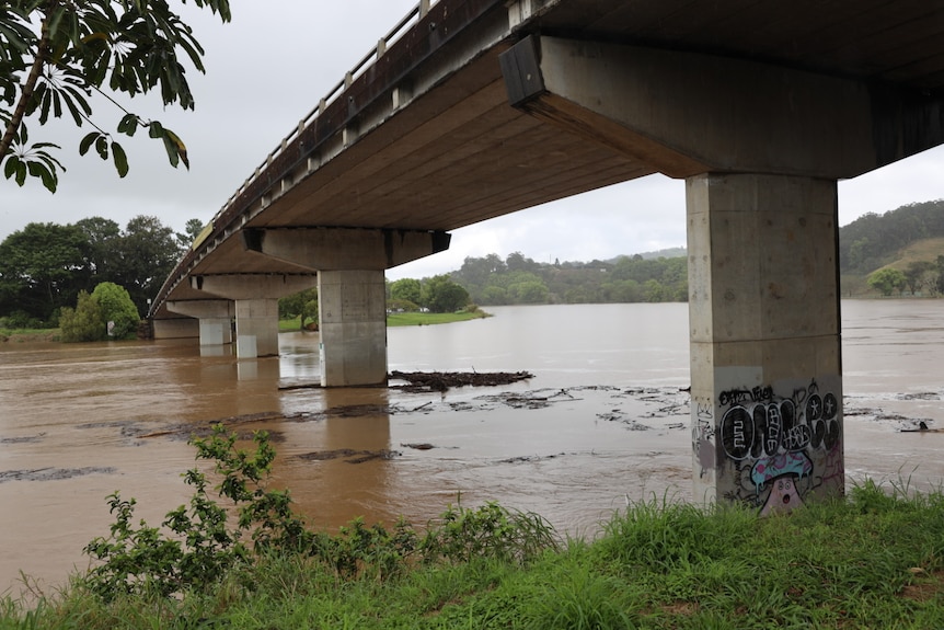 chocolate brown river carrying debris. 