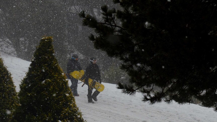 Snow falls on snowboarders at Falls Creek, north of Melbourne.