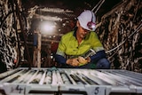 An underground mine worker in high-vis workwear and a hard hat inspects drilling samples. 
