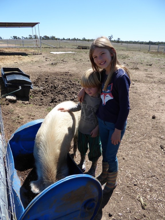 Jade and Henry Catania help to feed stock on drought-stricken properties in western Queensland.