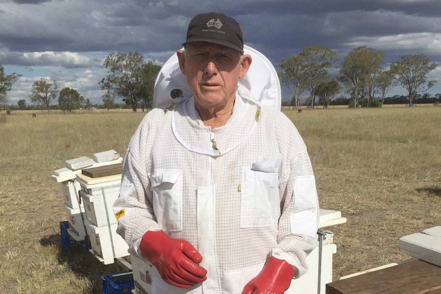 A man in a white beekeeper's suit with boots and red gloves stands in a paddock with beehives.