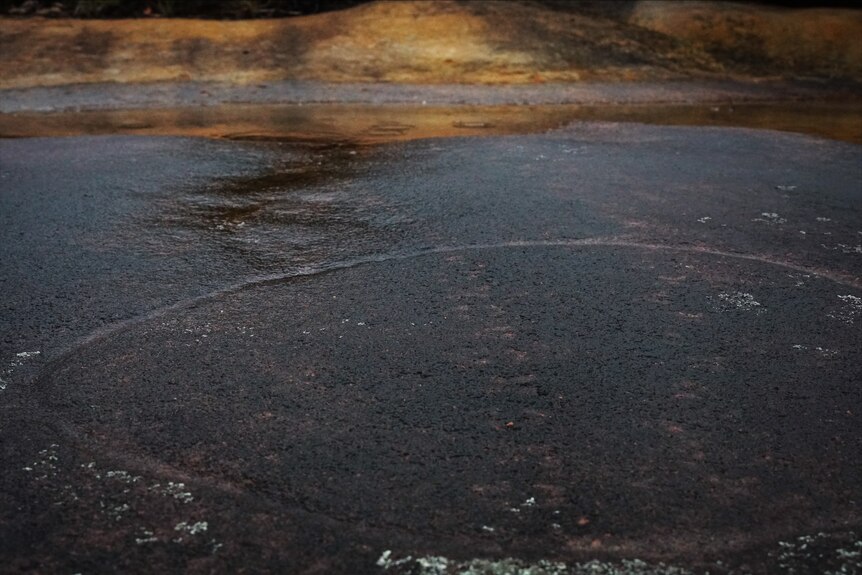 Photo of an ancient Aboriginal rock carving on NSW Central Coast with a motorbike track over it.