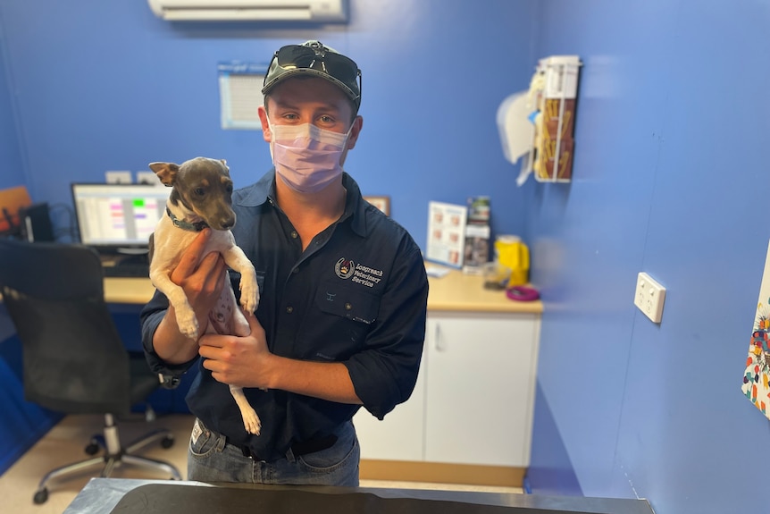 A young man stands in a vet room holding a small dog