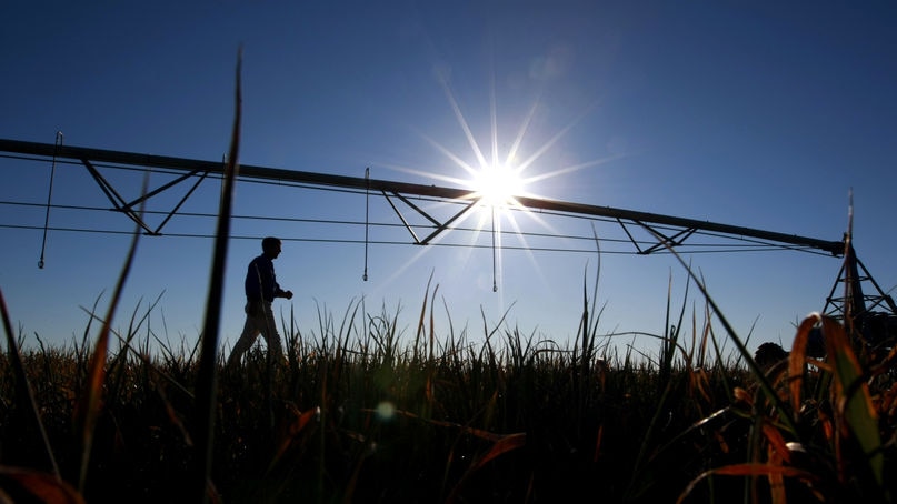 Irrigation on the farm