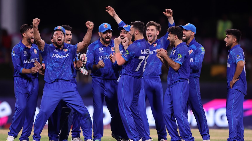 Cricket Team Cricket Team