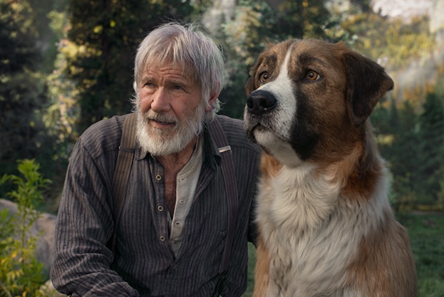 A man with unkempt grey hair and beard kneels down next to large St. Bernard/Scotch Collie dog in rocky and lush wilderness.