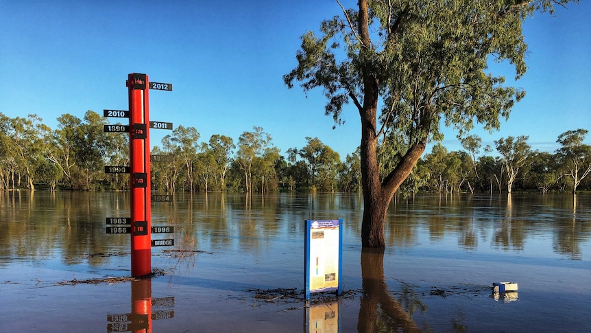 Flood waters surround the flood height marker at St George in southern Queensland