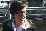 Indi, Independent, Cathy McGowan