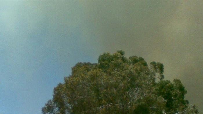 Red Hill bushfire