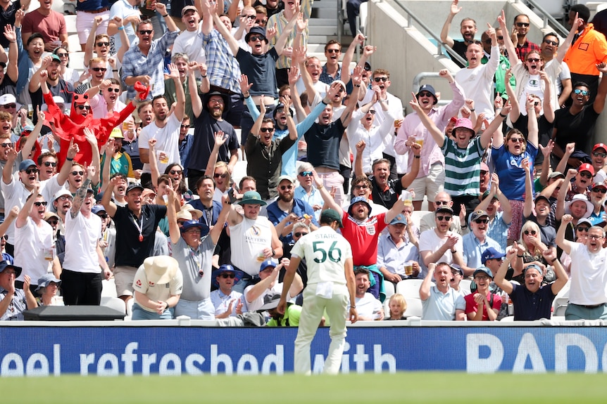 Fans at the Oval cheer as Australia fielder Mitchell Starc picks a ball up from the boundary during an Ashes Test.