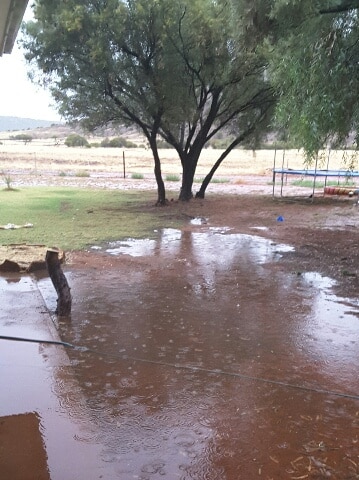 Puddle of water next to a house on Tarlton Downs Station.