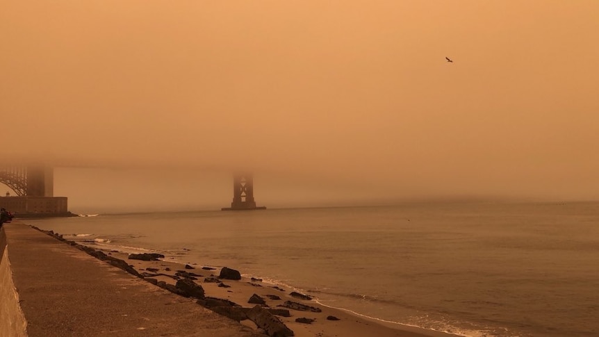 Iconic Golden Gate Bridge disappears behind golden smoke cause by out-of-control fires in California.