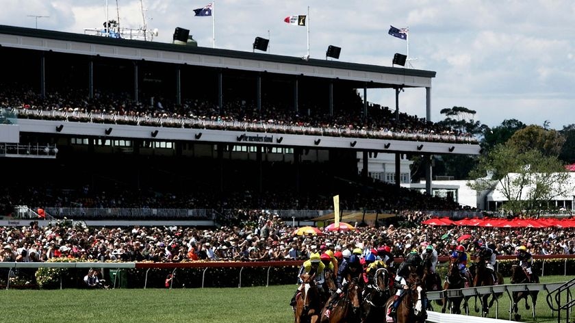 The review has found criminal activity has been rampant particularly in the betting ring.