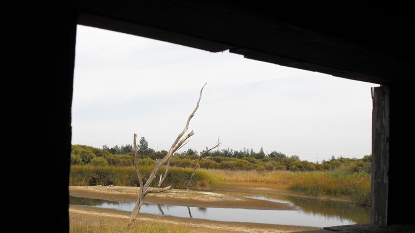 Salisbury wetlands - file photo