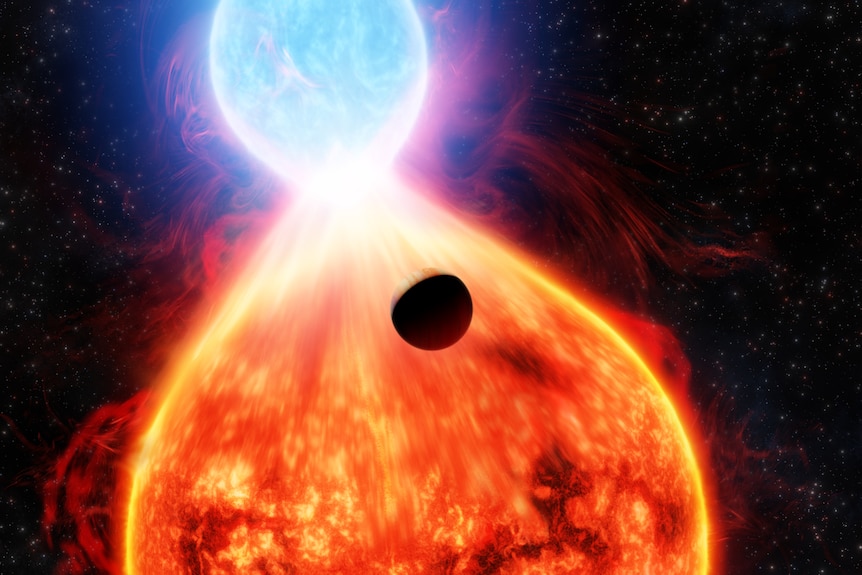 Artist depiction of planet orbiting two merging stars