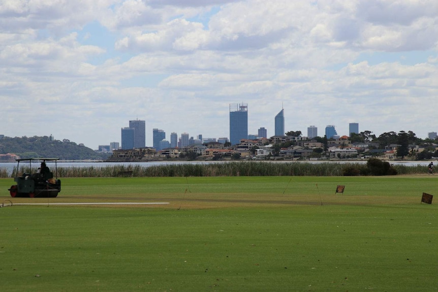 A green field along a river with city skyscrapers in the background.