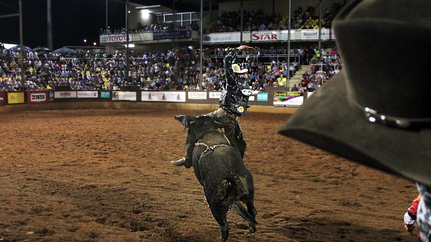 Crowd watches on as a bull bucks its rider during Mount Isa Rodeo