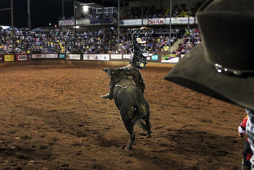 Crowd watches on as a bull bucks its rider during Mount Isa Rodeo