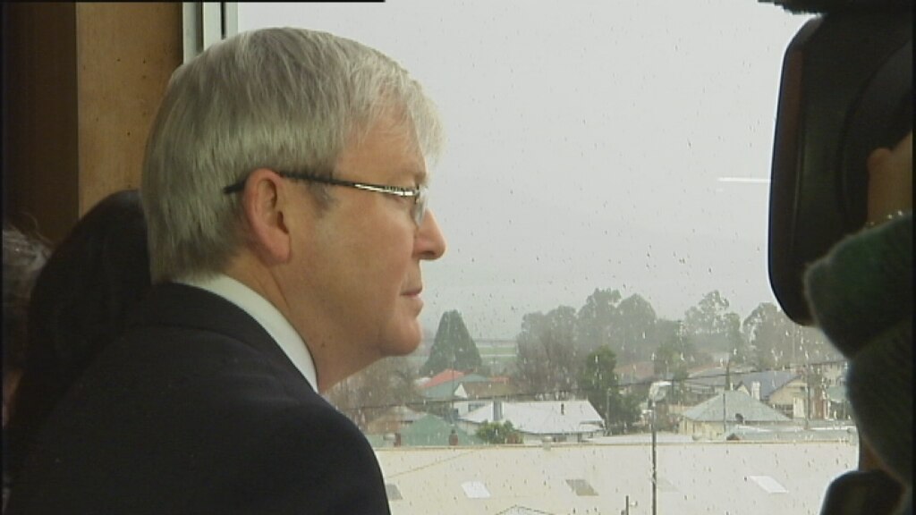 Rudd stays mum on forest deal - ABC News