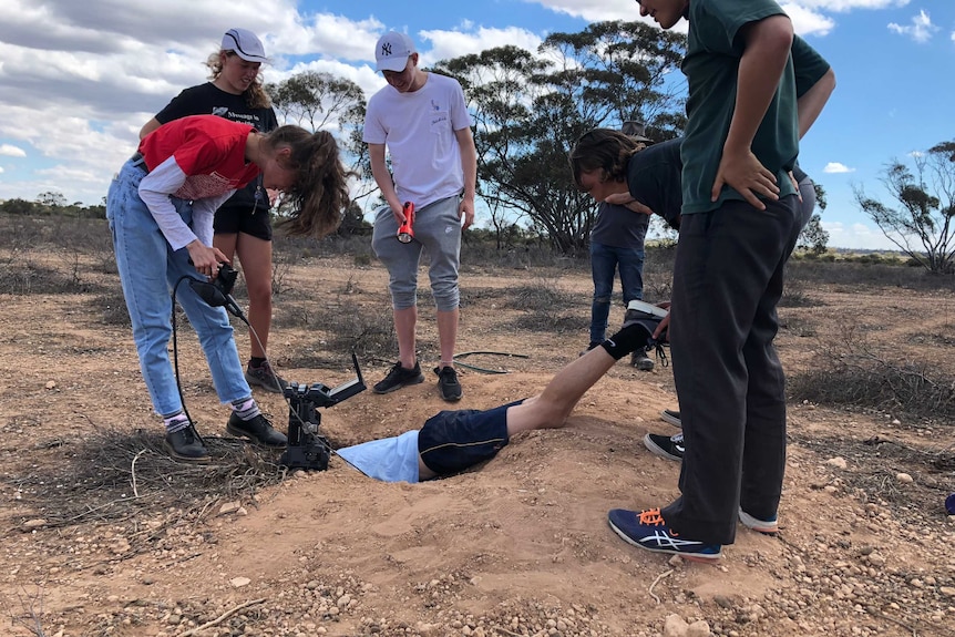 A boy sticking out of a wombat hole with other students around the hole watching