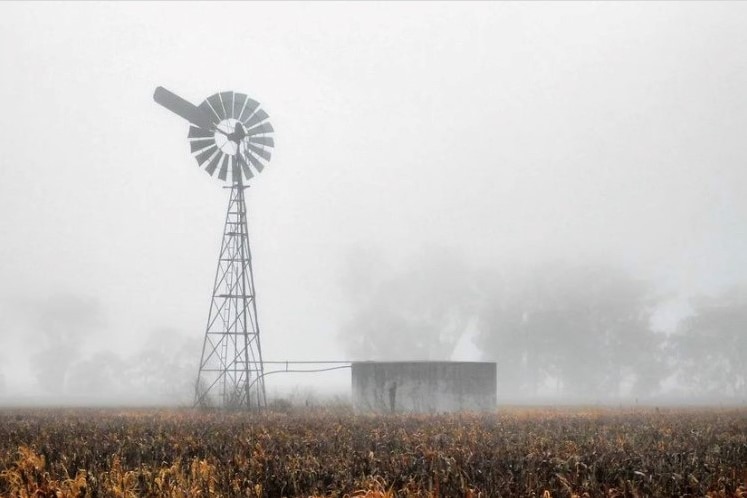 Fog on a field with a windmill and water tank in the background.
