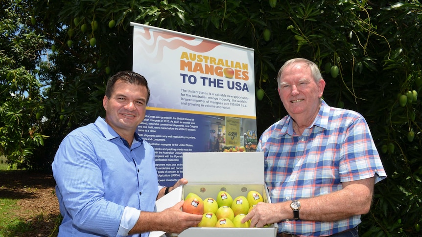 Mangoes to USA