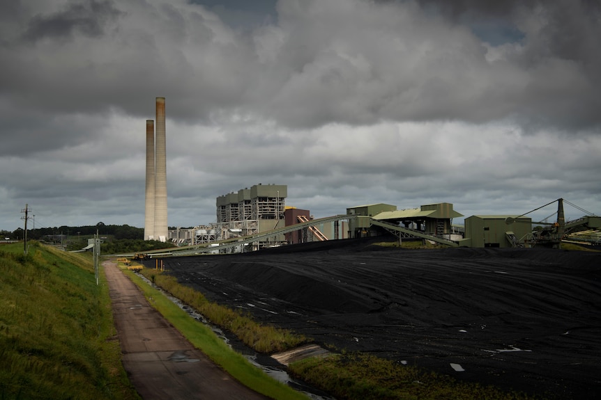 A pile of black coal sits outside a power station
