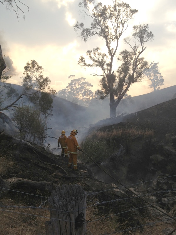 CFA crew battle fires at Woodman farm at Springfield near Kilmore on February 10, 2014