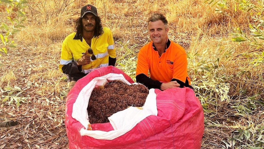 Two men sit next to a large bag of collected native seeds.