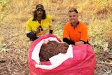 Two men sit next to a large bag of collected native seeds.