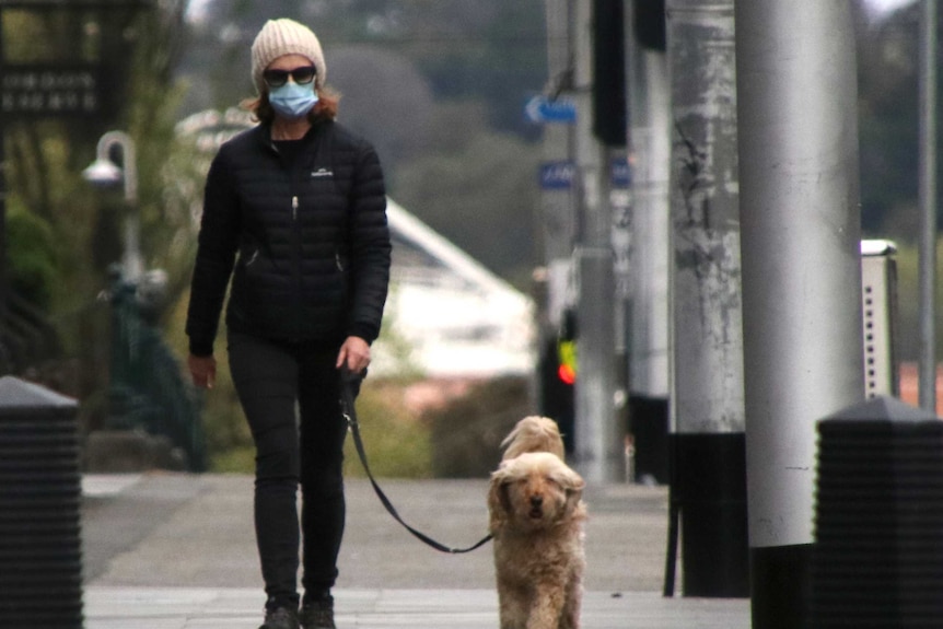 A woman dressed in black with a white hat and a mask walks a ginger dog.
