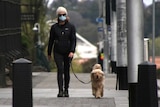 A woman dressed in black with a white hat and a mask walks a ginger dog.
