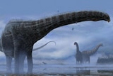 Artist's impression of a long necked dinosaur