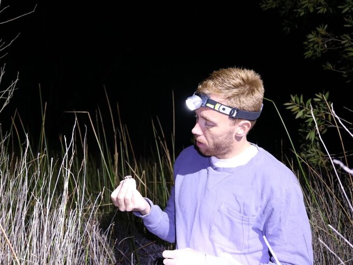 Picture of Simon Clulow holding a Mahony's Toadlet in a paddock.