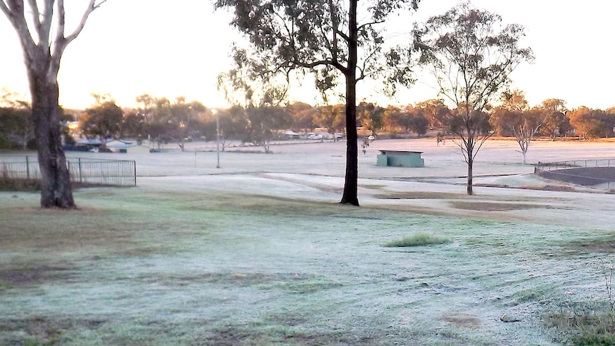 Frost covers Federation Park in Warwick.