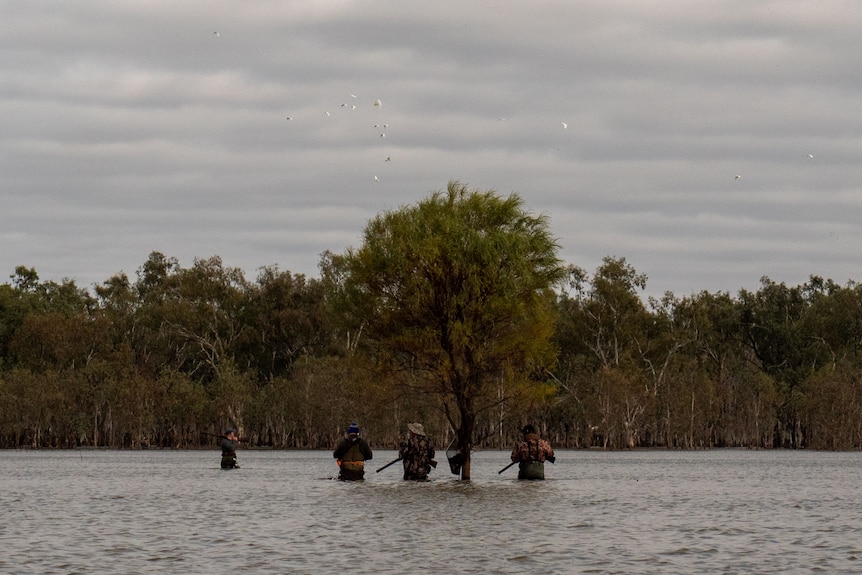 A group of hunters standing in the middle of a lake, holding guns, with trees in the background
