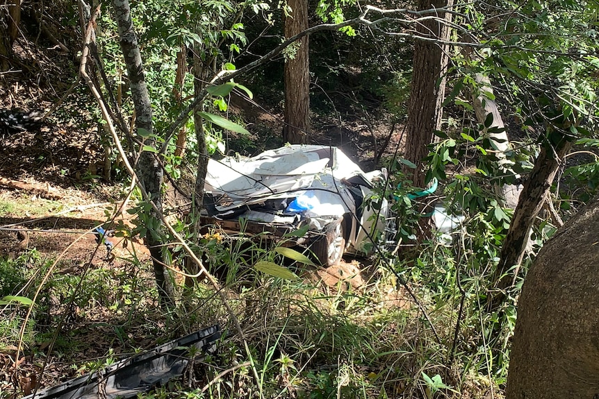 A badly crashed car at the bottom of some bushland.