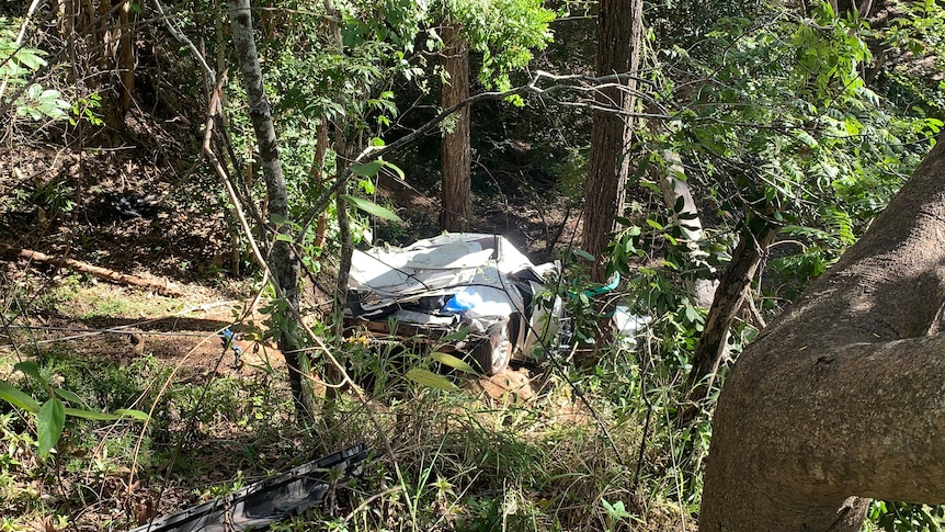 A badly crashed car at the bottom of some bushland.