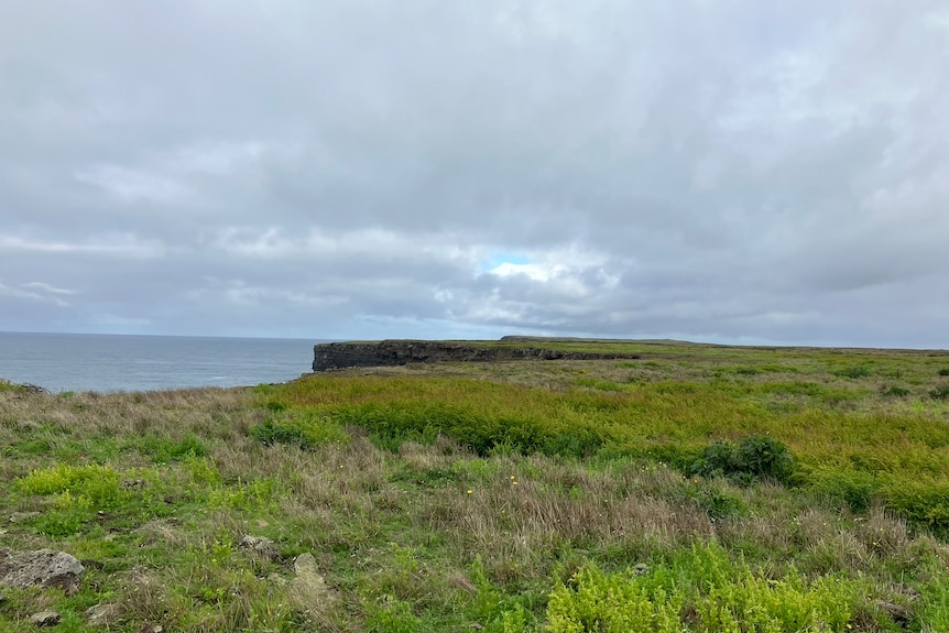 A flat grassland atop a cliff overlooking the sea.