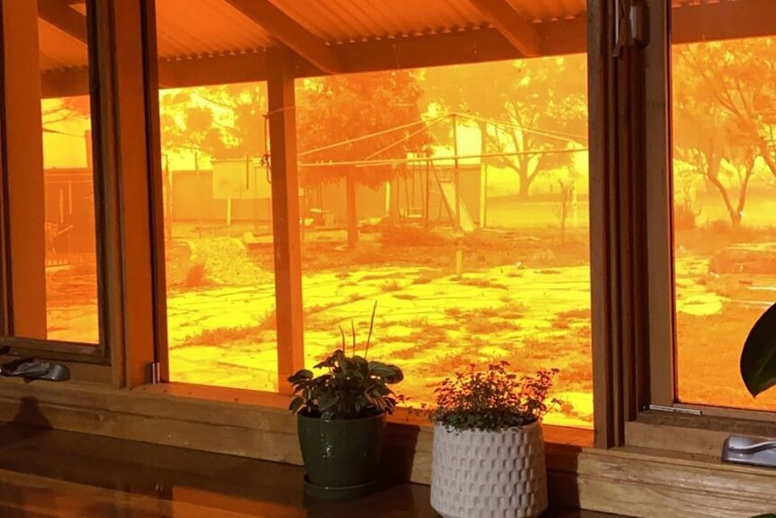 The backyard of a home with orange sky